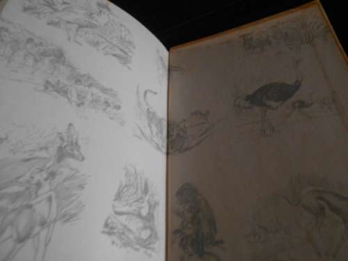 PJ SCHOEMAN - TRADOS DIE SWERWER-BOESMAN 1963 Voortrekkerpers geillus hardeband