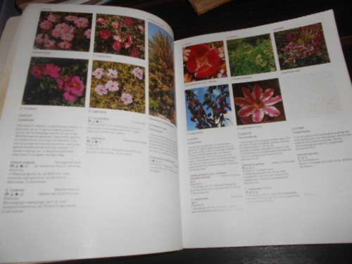 Die A-Z  van tuinblomme in Suid-Afrika - KRISTO PIENAAR geillus 1987 sagteband Struik uitgewers 1984