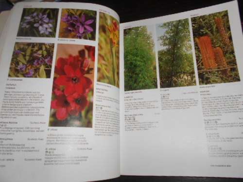 Die A-Z  van tuinblomme in Suid-Afrika - KRISTO PIENAAR geillus 1987 sagteband Struik uitgewers 1984