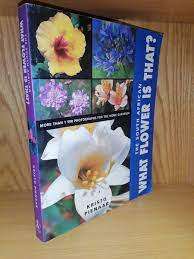 KRISTO PIENAAR - THE SOUTH AFRICAN WHAT FLOWER IS THAT