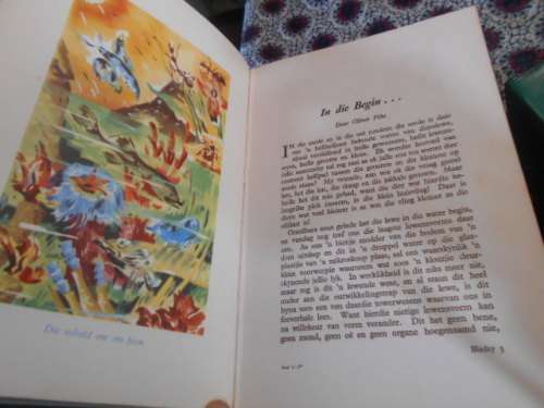 7 Skatkis dik storieboeke Die Kinder-Kultuurvereniging Junior Afdeling  7 uit 8 volumes