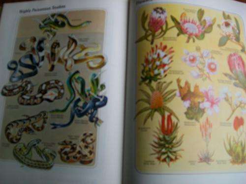 ROAD ATLAS  & TOURING GUIDE OF SOUTHERN AFRICA -MAPS &  hist.monuments  ILLUS birds, fishes, snakes