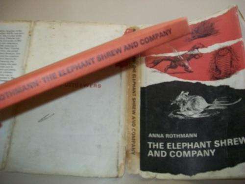 ANNA ROTHMANN - THE ELEPHANT SHREW AND COMPANY 1964 FIRST ED DRAWINGS BY CT ASTLEY MADERLY