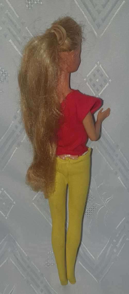 Barbie doll from the 90`s.