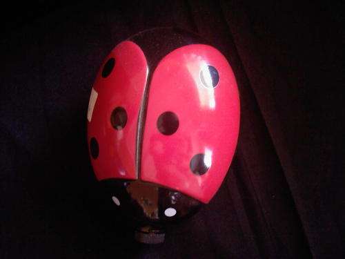 LADY BUG BOTTLE