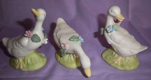 SET X3 STUNNING DUCKS