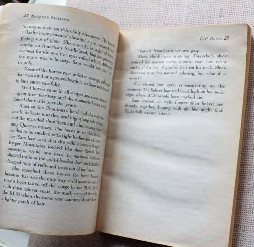 Phantom Stallion Book 9 - Gift Horse by Terri Farley