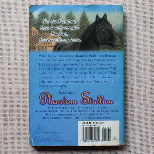 Phantom Stallion Book 9 - Gift Horse by Terri Farley