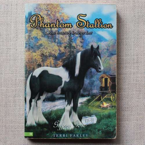 Phantom Stallion Book 23 - Gypsy Gold by Terri Farley