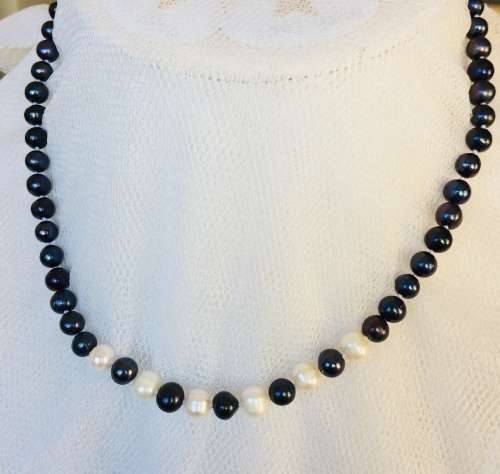 Genuine Pearl  Necklace - Black and White Pearls - Stunning!