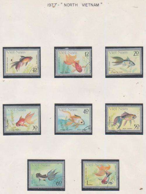 NORTH VIETNAM FISH CTO