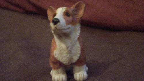 Puppy in my pocket 16