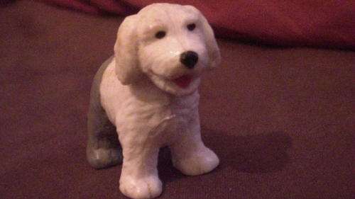 Puppy in my pocket 21