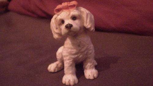 Puppy in my pocket 30