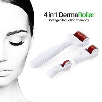 4 in 1 Derma Roller