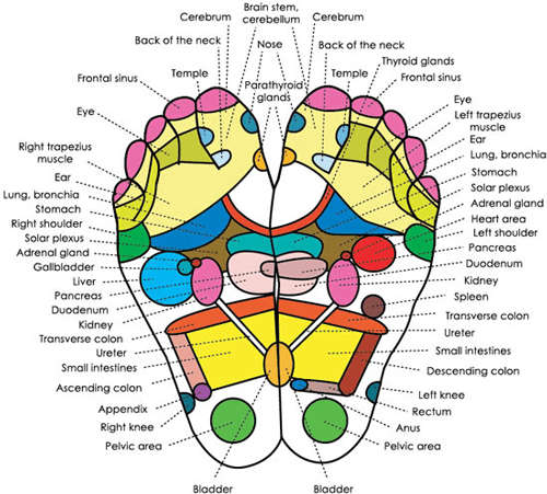 Detox & Healing Foot Pads