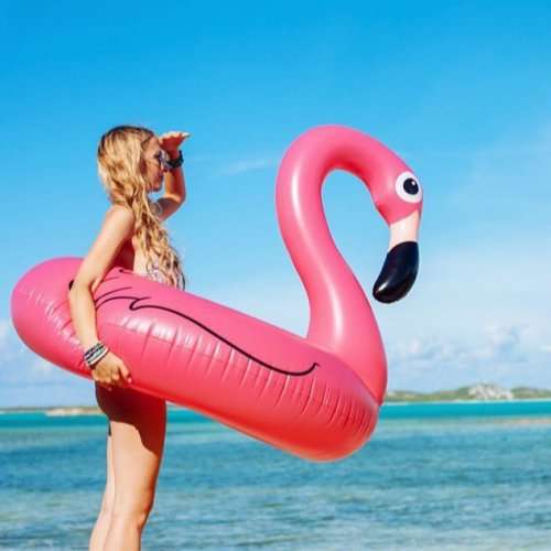 Unicorn or Flamingo Swimming Ring