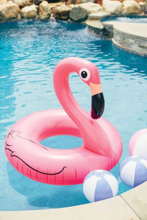 Unicorn or Flamingo Swimming Ring