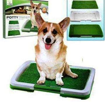 PUPPY POTTY TRAINER