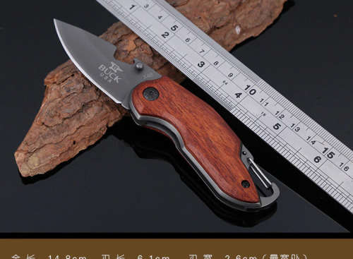 Buck Folding Pocket Knife