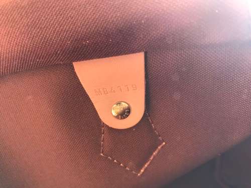 Louis Vuitton Speedy 30 NM MNG Bag