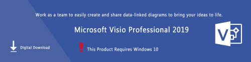 Microsoft Visio Professional 2019 Retail FPP Licensed Product for 1 Windows 10 Device - BID OFFER!!
