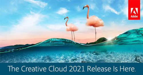 Adobe Creative Cloud All Applications 2021 for Full Commercial Version Licensed for 6-Months