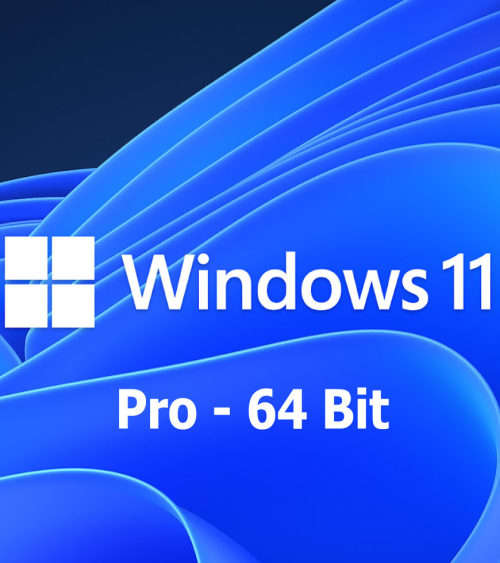 Retail Microsoft Windows 11 Professional
