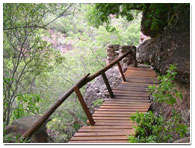 Little Eden, Gauteng. Midweek Holiday 21 - 25 November 2011