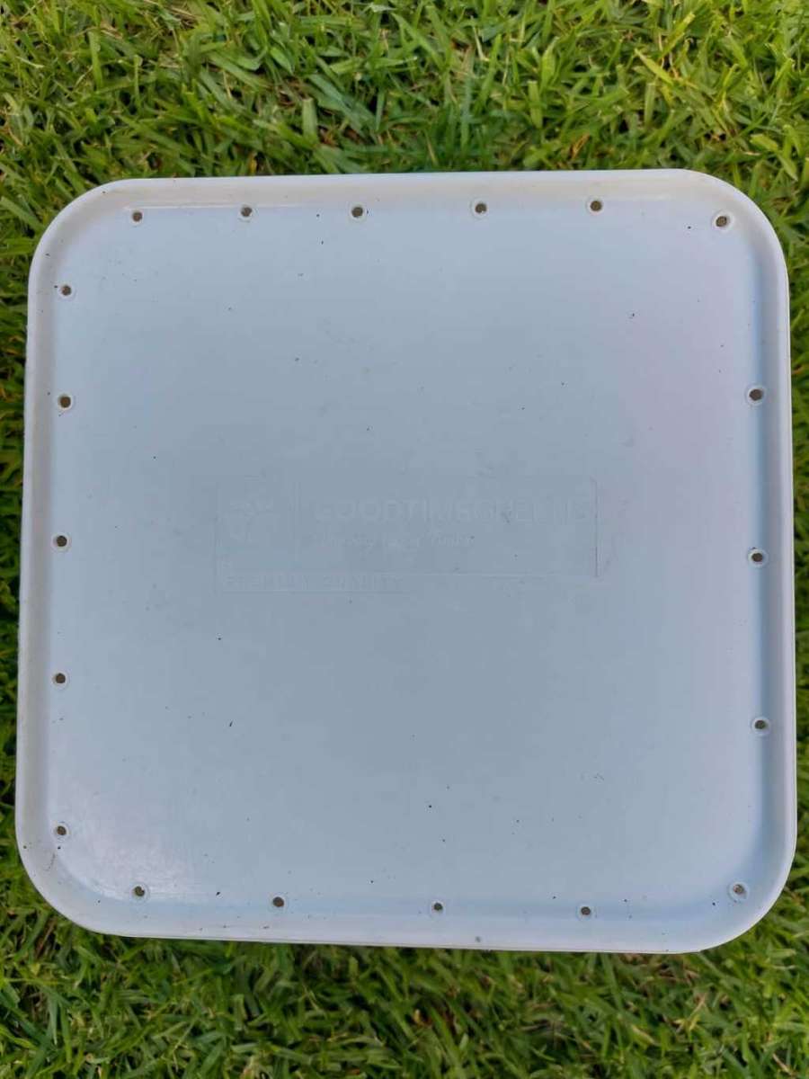 Red Wrigglers (Compost worms)