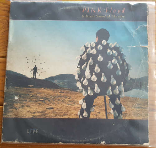 LP - Pink Floyd - Delicate Sound of Thunder - Gatefold - SA