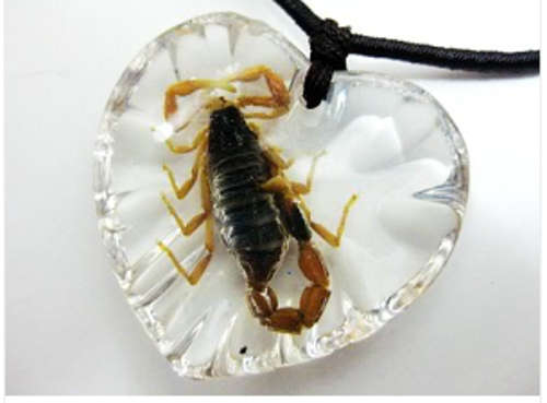 Heart-Scorpion necklace