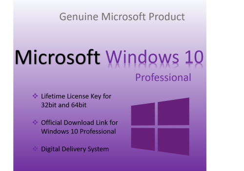 Microsoft Windows 10 Professional License