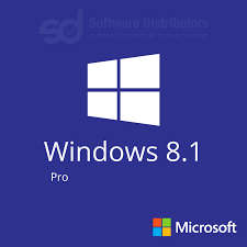 Microsoft Windows 8.1 Professional
