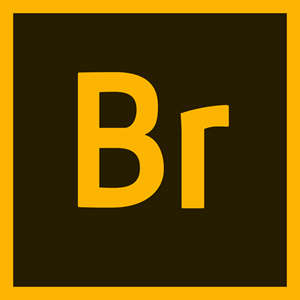 Adobe Bridge 2020 (Once-off Purchase) - Windows
