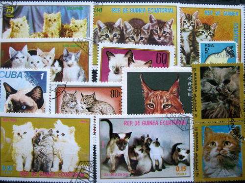 CATS - SELECTION OF 13 STAMPS AS PER SCAN