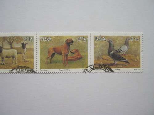 RSA - 1991 ANIMAL BREEDING - SETENANT STRIP OF 5 - POSTALLY USED