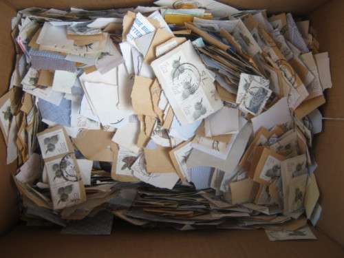**R1 START** `XEROX` PAPER BOX ABOUT 50% FULL OF 5th DEFIN ISSUE (SUCCULENTS) ON PAPER