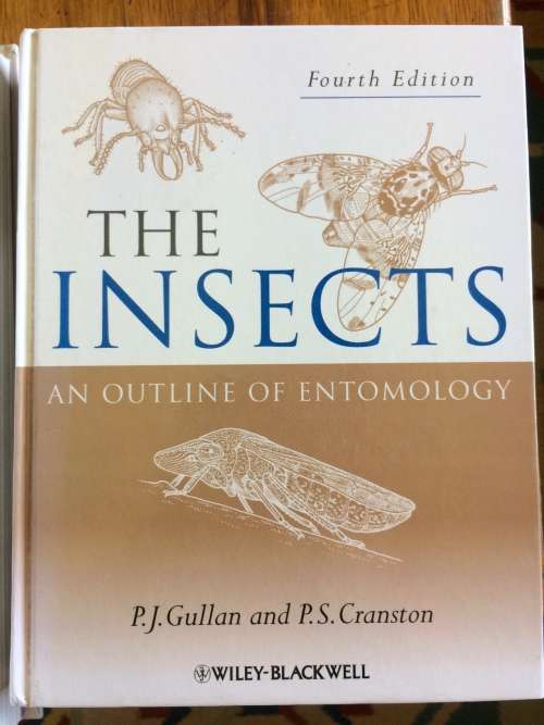 The Insects: An Outline of Entomology