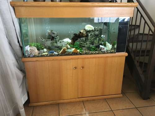 120 litre fish tank shop