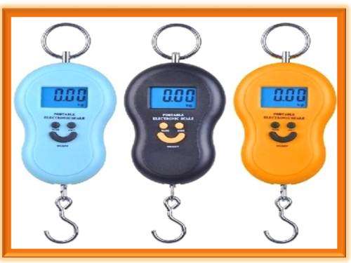 PORTABLE ELECTRONIC SCALES