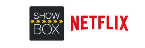 X96 4K SMART Android Media Player (NETFLIX, WIFI, KODI)