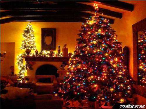 10M Christmas 220V White or Multicolour LED Fairy Lights