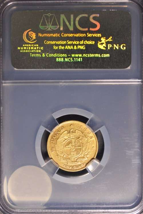 1895 Half Pond VF Excessive Hairlines