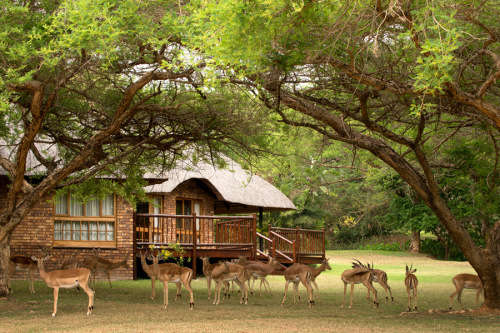Weekend @ Kruger Park Lodge,  27 - 30 November 2020 (Sleep 4)