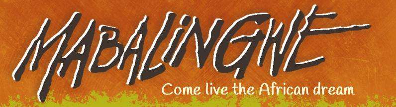 !SPECTACULAR BUSHVELD! 4-night stay @ Mabalingwe Nature Reserve 20-24 May 2024 (Sleep 4 - 2 bedroom)