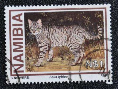 NAMIBIA - WILD CATS
