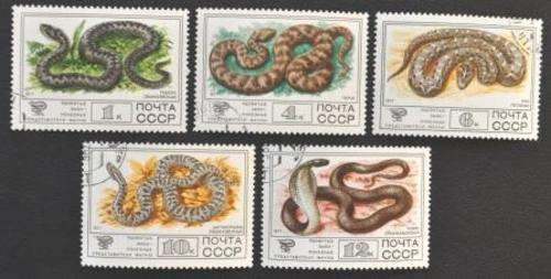 REPTILES SNAKES - RUSSIA  - U/S