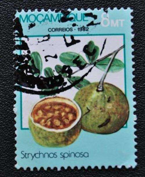 MOZAMBIQUE - U/S