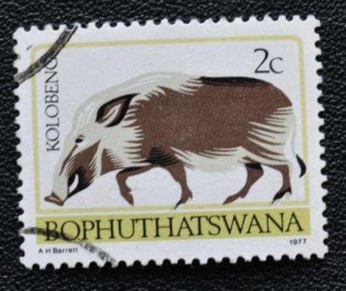 BOPHUTHATSWANA - ANIMAL - U/S
